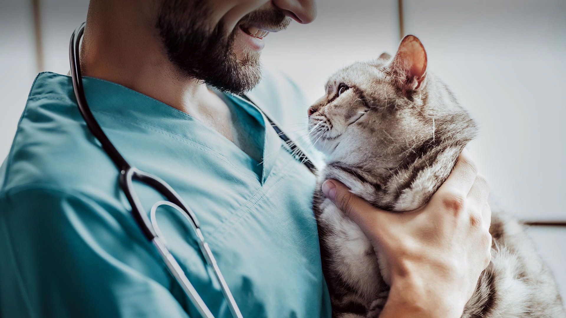 Kuşadası Veteriner